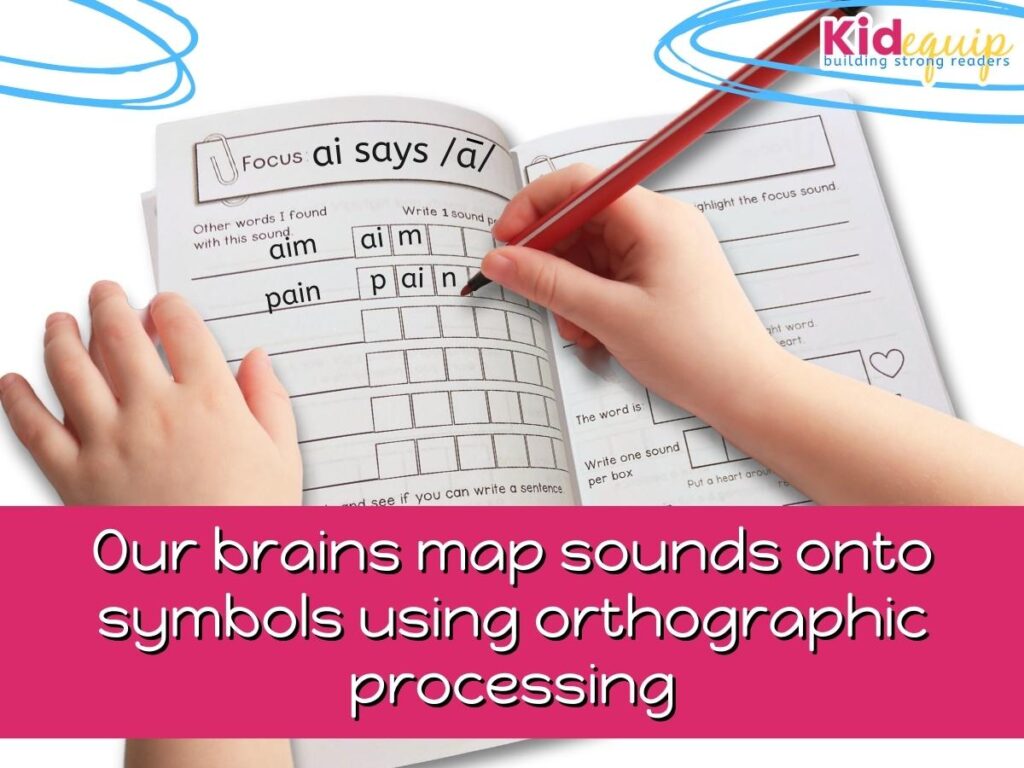 how do our brains map sounds onto words