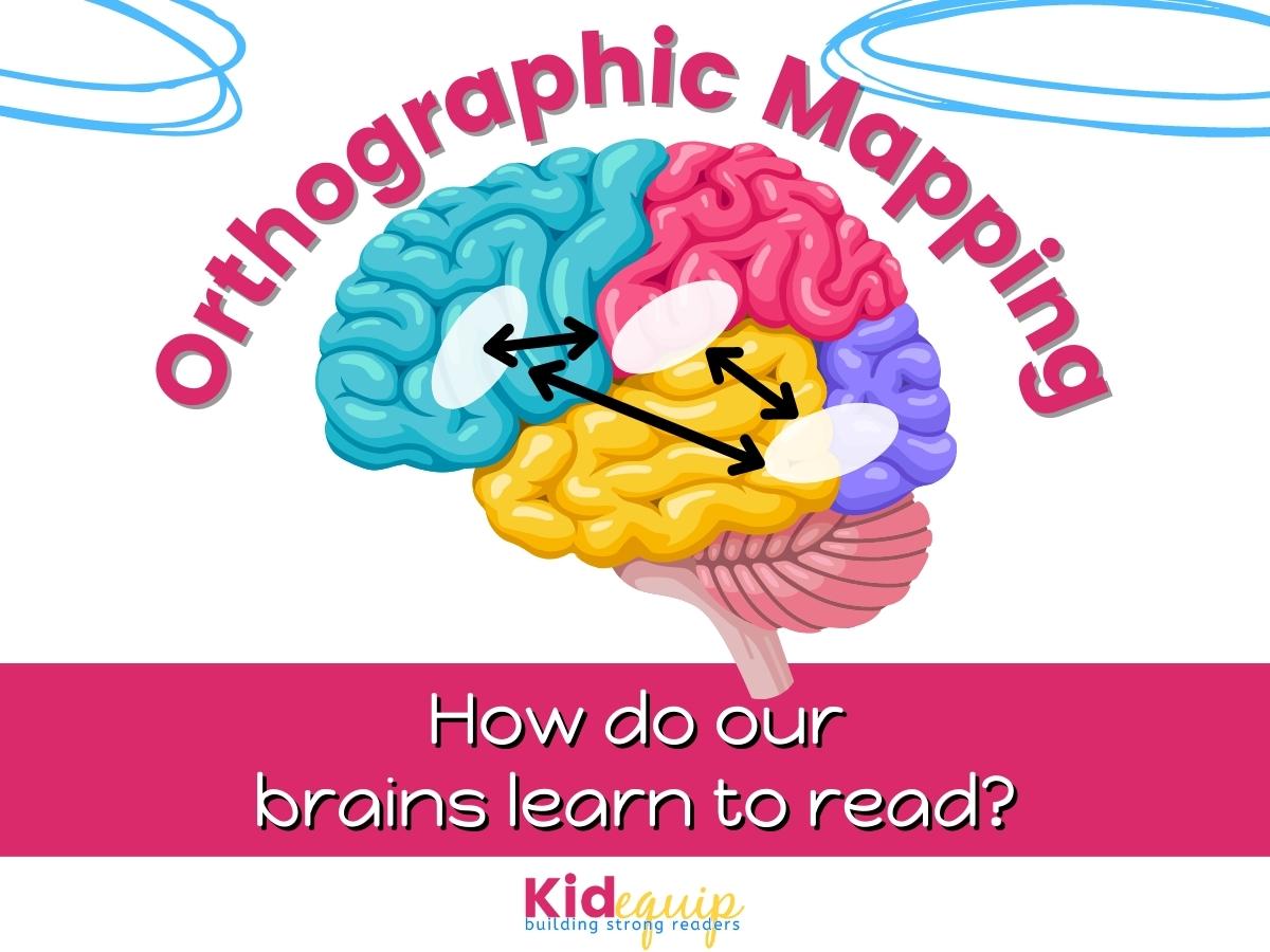 what is orhtographic mapping and how does it help our struggling readers to become fluent.